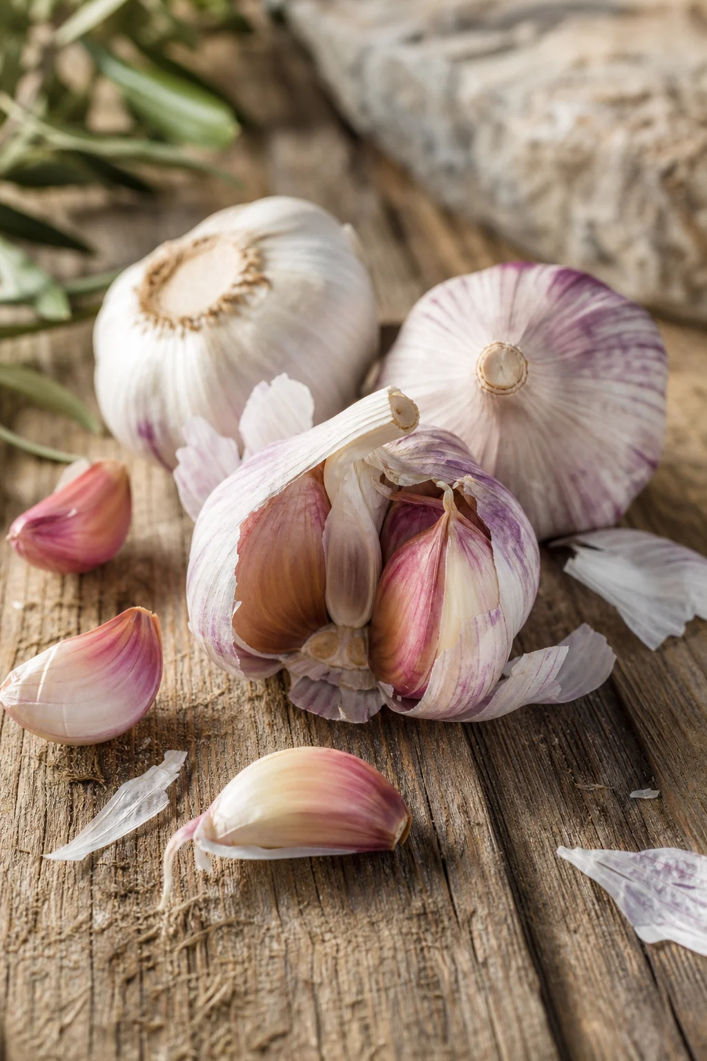 Frische Knoblauchknollen und Zehen auf Holz